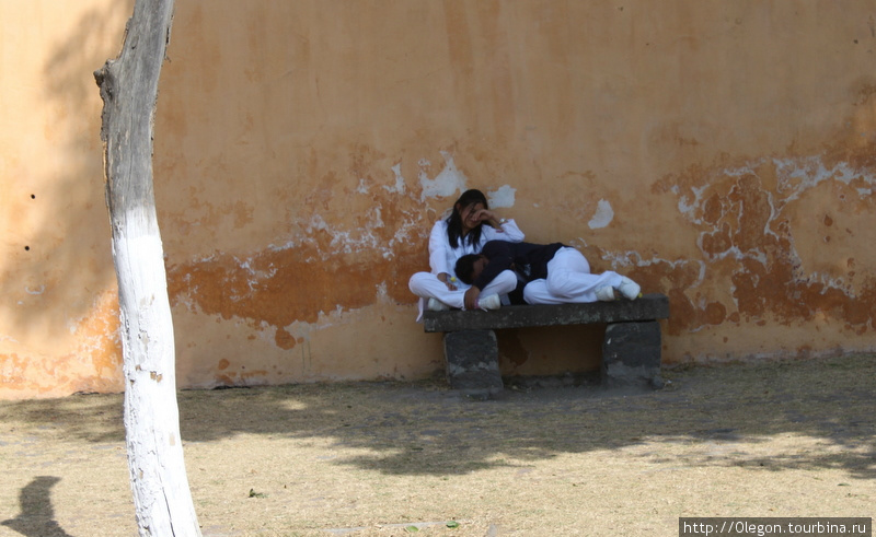 Нарядившись в белоснежную одёжку отправились на любимую скамейку спать Мексика