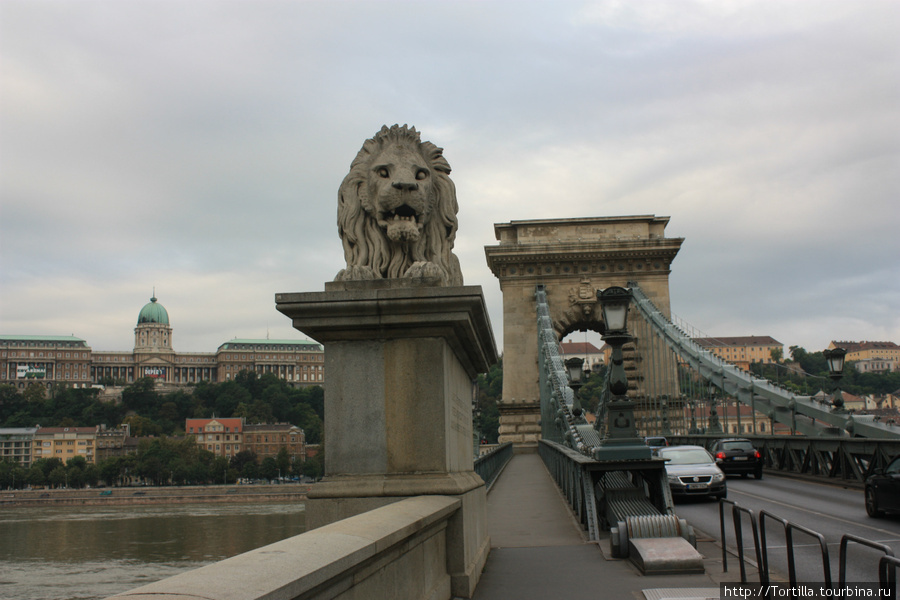 Мост Сечени Будапешт, Венгрия
