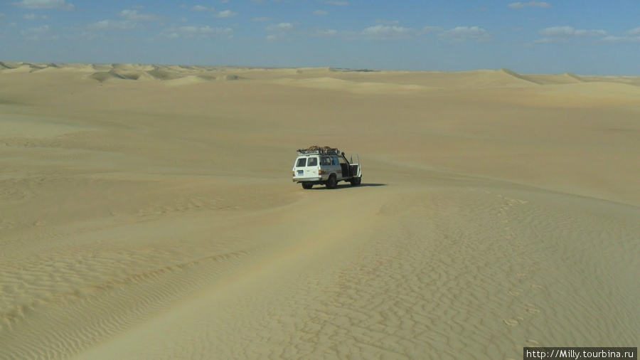 С кем поехать на сафари в пустыню из Сивы Оазис Сива, Египет