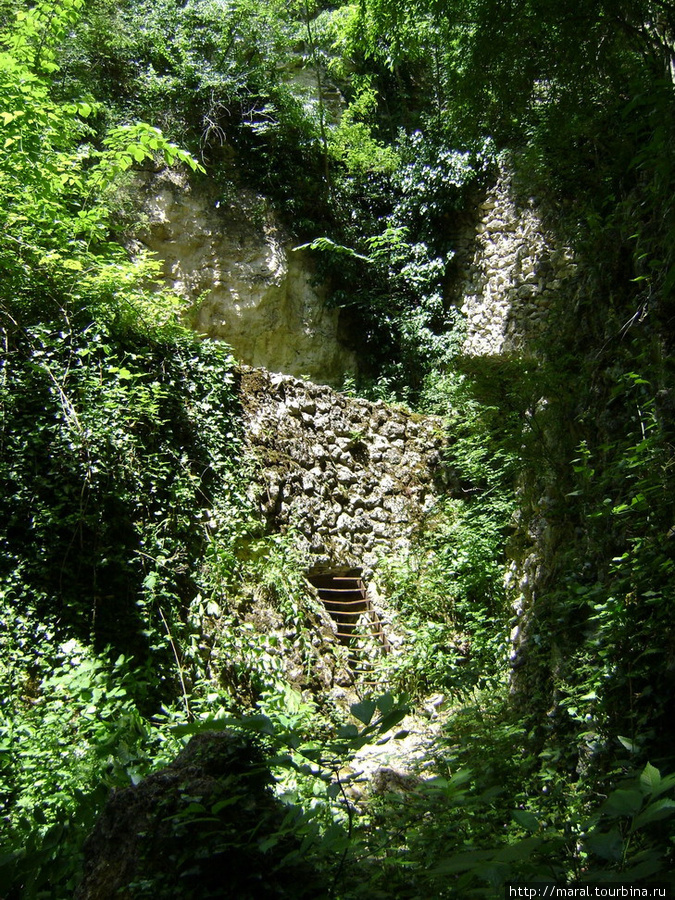 Примерно в километре от монастыря Аладжа в буйной зелени растений и деревьев сокрыты Катакомбы Золотые Пески, Болгария