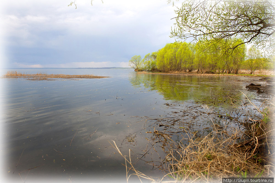 Плещеева река. Озеро Чембурское Анапа. Река Векса Плещеево. Чембурское озеро фото. Чембурское озеро где находится.