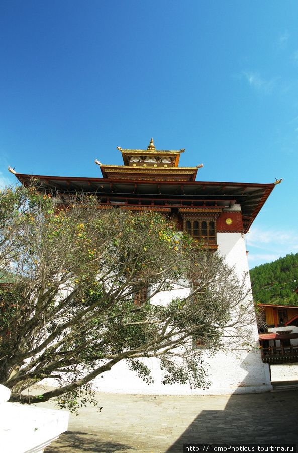 Внутри Пунакха Дзонга Район Пунакха, Бутан