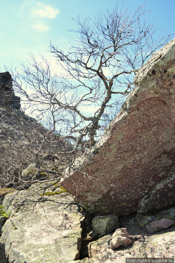 Высота 780 метров. Колчимский камень Пермский край, Россия