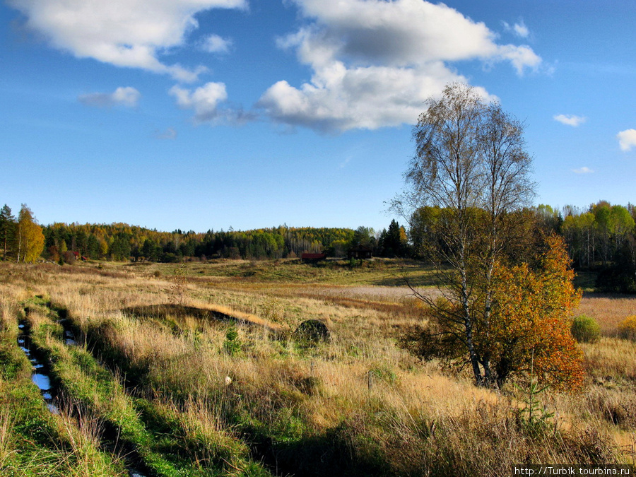 Прогулка по Кильполе Остров Кильпола, Россия