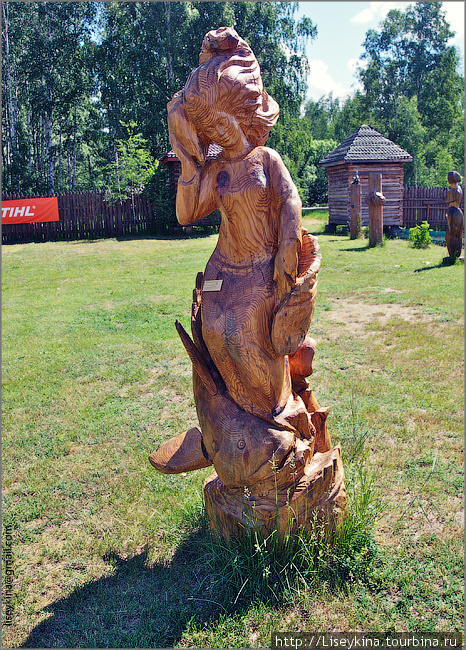 Мещерский музей деревянного зодчества Рязанская область, Россия
