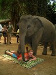 На этом развлечения со слонами не закончились. Было небольшое шоу с маленькими слонами, во время которого Танюша принимала слоновий массаж. Говорит, что было достаточно чувствительное похлопывание ногой слоника по попке. Потом их кормили бананами и поили молоком. Очень умилительно!