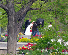 В парке застали фотосессию брачующихся...