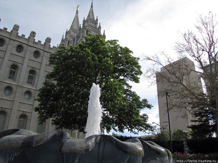 Цветущий парк у Храма Иисуса Христа. А мормоны - молодцы Солт-Лэйк-Сити, CША