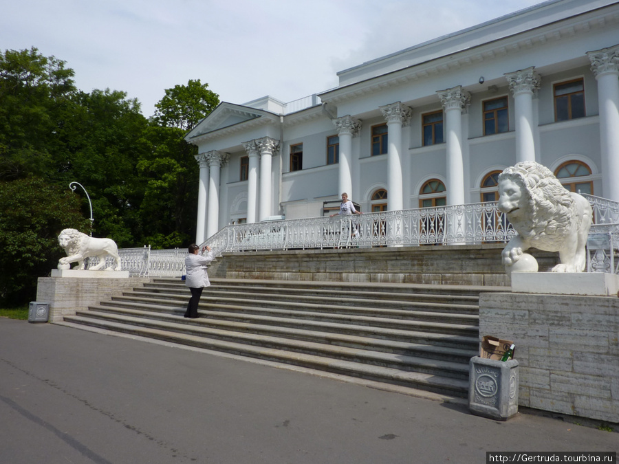 Как и всегда, львы охраняют дворец. Санкт-Петербург, Россия