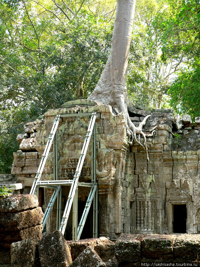 Храм второй - Та Пром Ангкор (столица государства кхмеров), Камбоджа