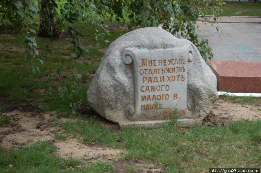 Памятник Н.И. Вавилову Саратов, Россия