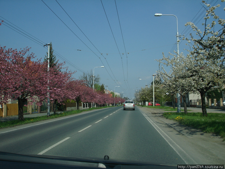 на улицах города Пльзень, Чехия