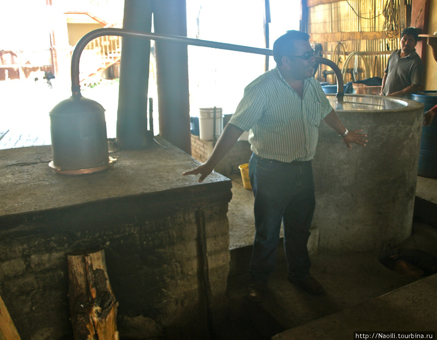 Как делают мескаль? Оахака, Мексика