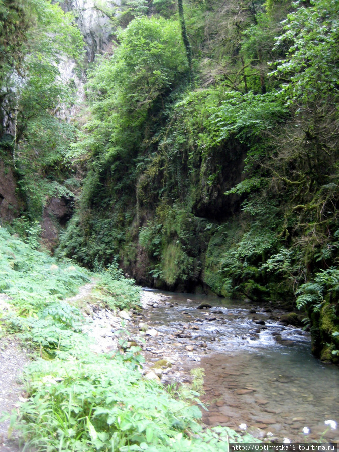 В ущелье Kakouetta Аквитания, Франция