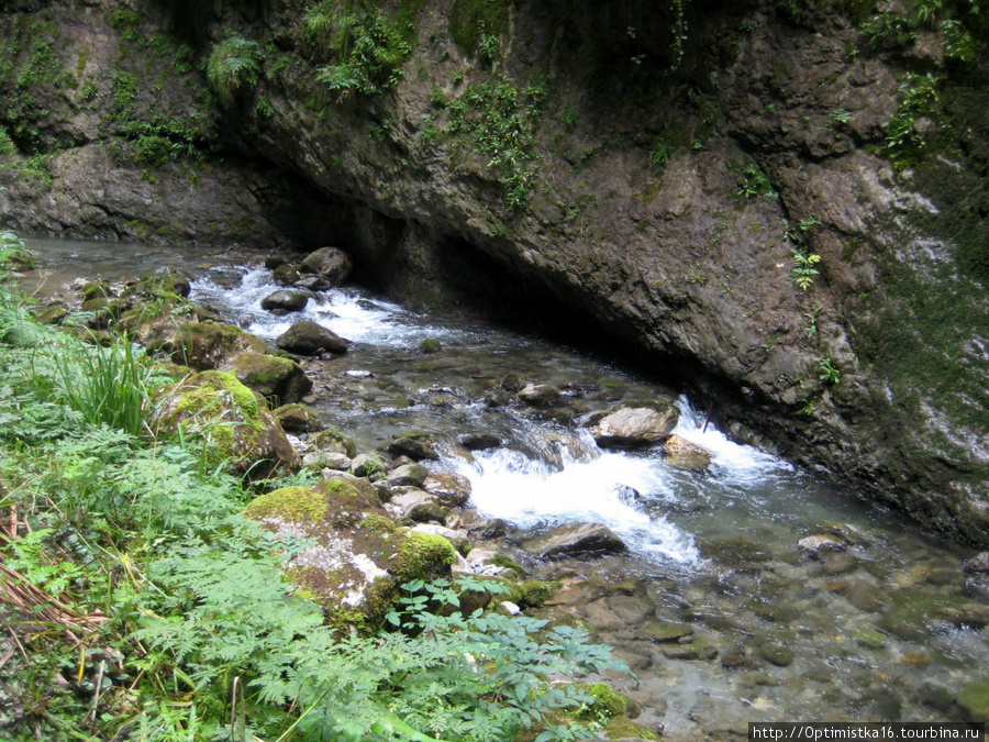 В ущелье Kakouetta Аквитания, Франция