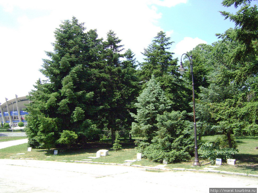 Участок парка, где деревья посажены руками космонавтов Варна, Болгария