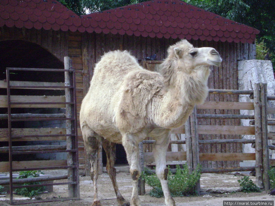 Я так могу Варна, Болгария